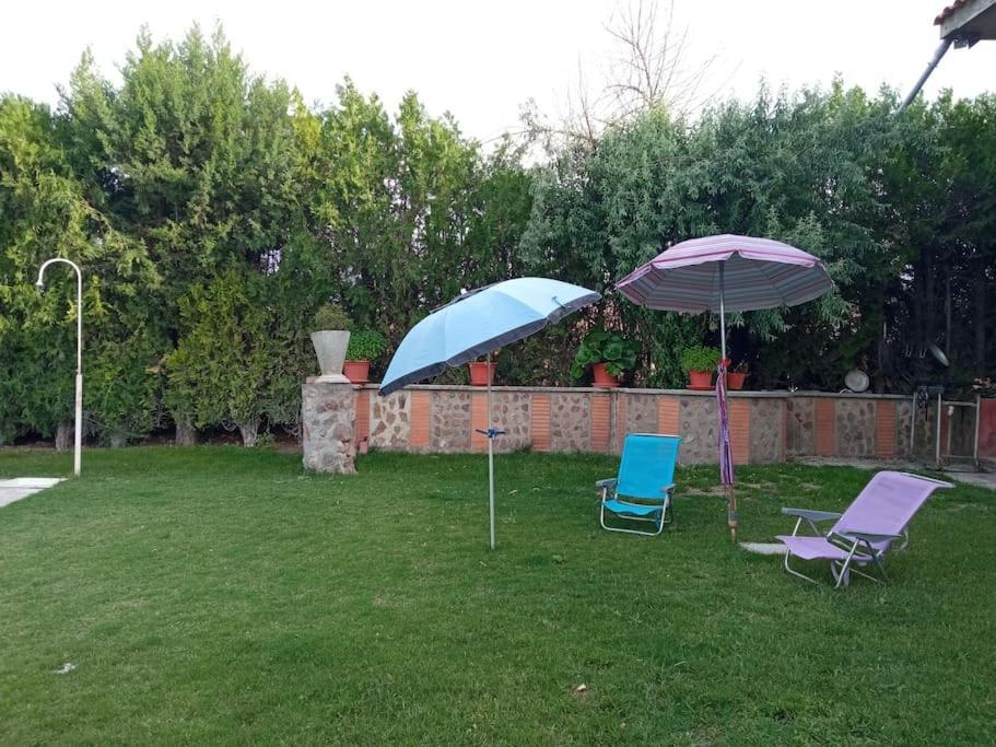 Finca Denunez Villa La Mata  Exteriör bild