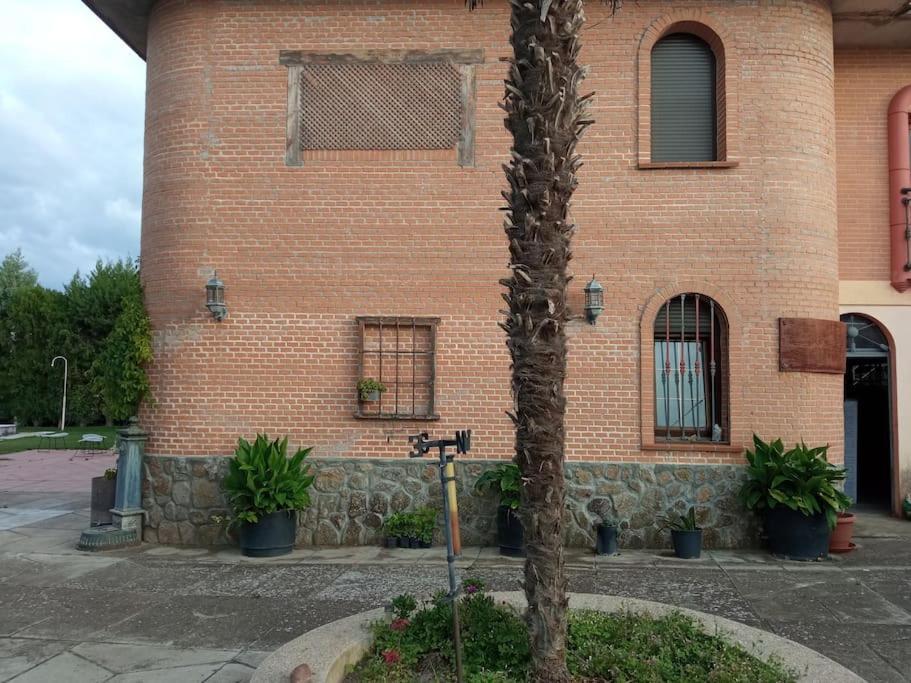 Finca Denunez Villa La Mata  Exteriör bild
